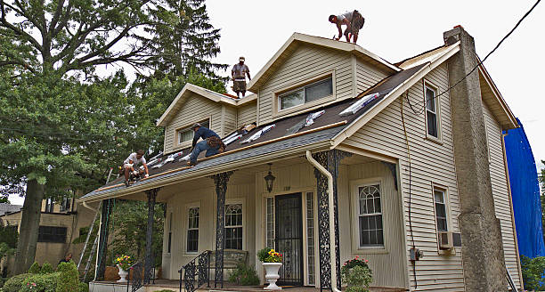 Best Storm Damage Roof Repair  in Premont, TX